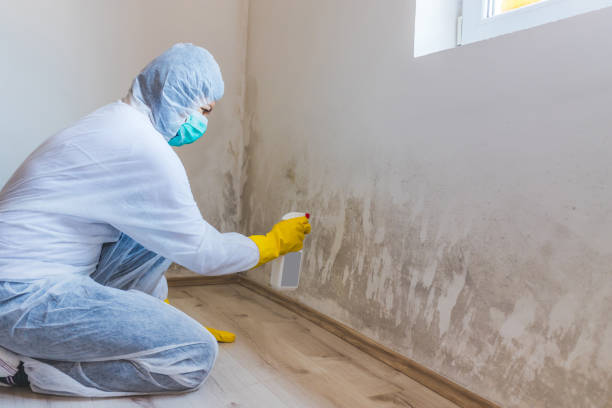 Mold inspector in Gap performing thermal imaging